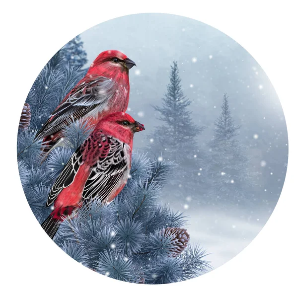 Christmas New Year Winter Holiday Background Two Crossbill Birds Sitting — Stock Photo, Image