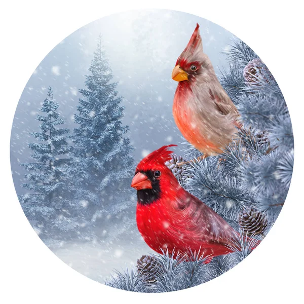 クリスマス 新年の冬の休日の背景 2つの赤い鳥は トウヒの枝 松の木 装飾された鳥の家 フィーダー ガーランド おもちゃ 3Dレンダリング — ストック写真