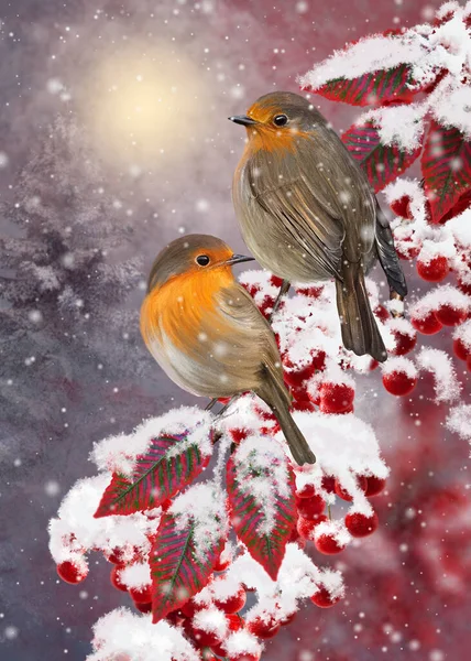 Різдво Новорічні Зимові Канікули Фон Два Птахи Сидять Засніженій Гілці — стокове фото