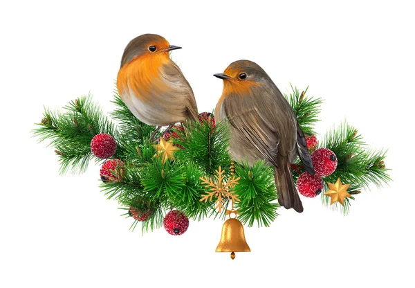 Christmas New Year Winter Holiday Background Two Tit Birds Sit — Stock Fotó