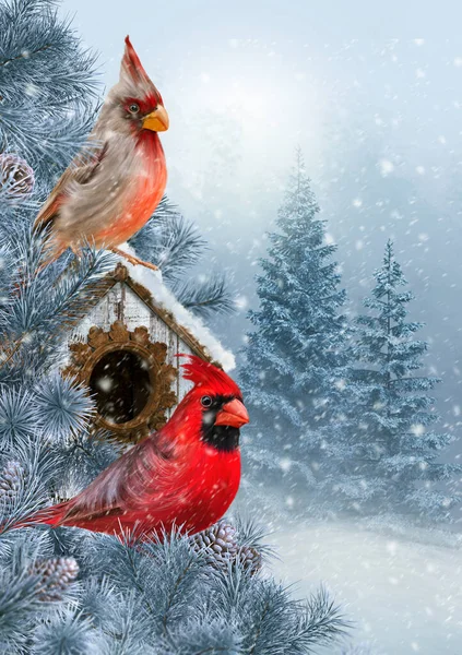 Natal Fundo Férias Inverno Ano Novo Dois Pássaros Cardeais Vermelhos — Fotografia de Stock