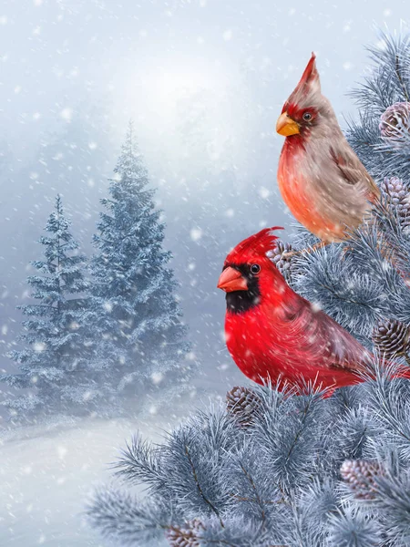 Weihnachten Neujahr Winterurlaub Hintergrund Zwei Rote Himmelsvögel Sitzen Auf Einem — Stockfoto