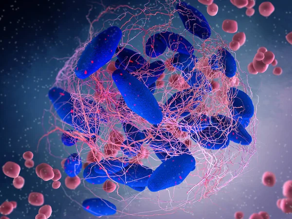 医学的背景 大腸菌 グラム陰性ロッド状細菌 血清型O157 H7は 重度の食中毒を引き起こし 3Dレンダリング — ストック写真