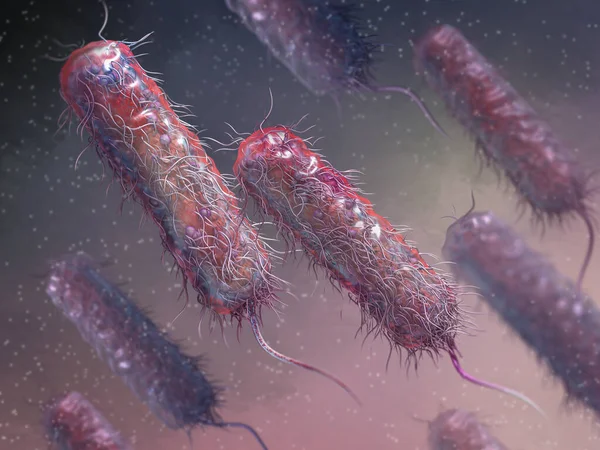 医学的背景 細菌因子性無酸素症 サルモネラ菌 腸内細菌 ロッド状 表面全体に鞭毛 サルモネラ感染症の原因物質 病原体 3Dレンダリング — ストック写真