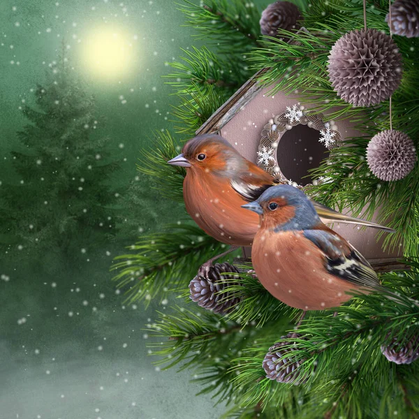 クリスマス 新年の休日の背景には 2つの明るい小さな鳥がトウヒの枝に座って 鳥の家の近くの松の木 フィーダー 夜の照明 3Dレンダリング — ストック写真