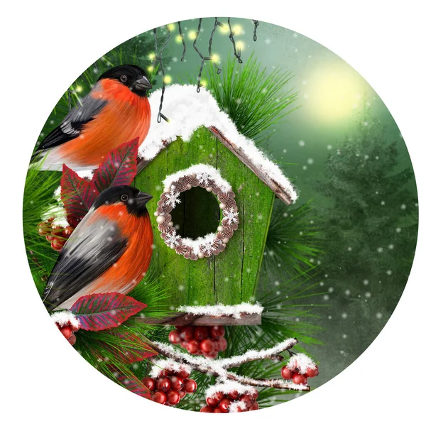 クリスマスの新年のお祝いの冬の背景 2羽の鳥は トウヒの枝 松の木 赤い果実 燃焼ガーランド 3Dレンダリング 円形の形でバードハウスの近くに座っています — ストック写真