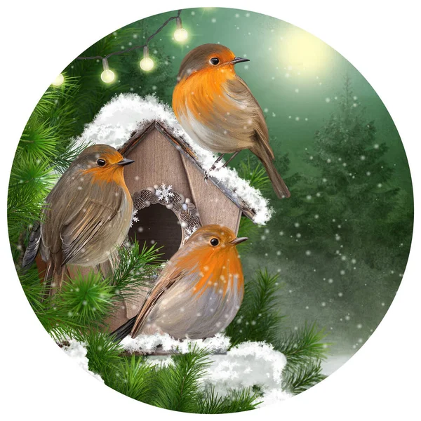 Christmas New Year Festive Winter Background Three Tit Birds Sit — Zdjęcie stockowe