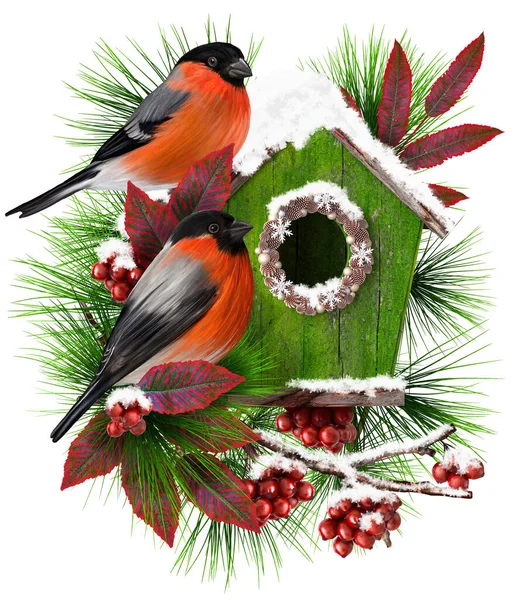 クリスマスの新年のお祝いの冬の背景 2羽の鳥はトウヒの枝 松の木 赤い果実 3Dレンダリングの鳥の家の近くに座っています — ストック写真