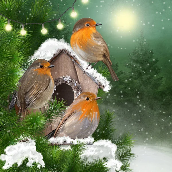 Christmas New Year Festive Winter Background Three Tit Birds Sit — 스톡 사진