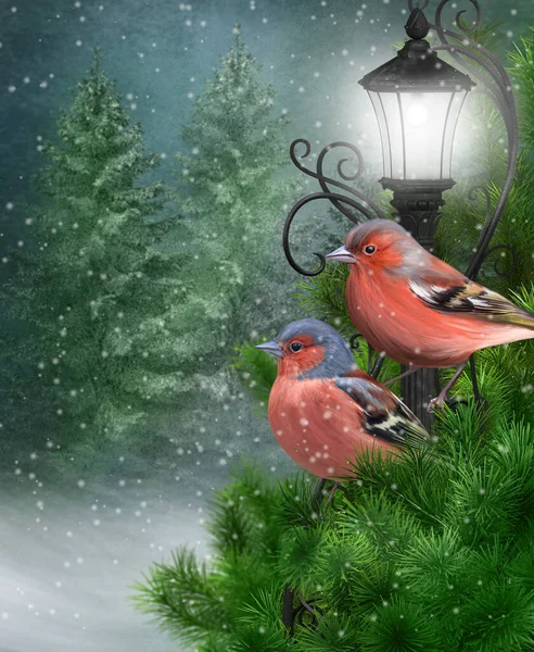 クリスマス 新年のお祝いの背景 2つの赤い鳥は公園の輝く提灯の近くの雪の中のトウヒの枝に座って 3Dレンダリング — ストック写真