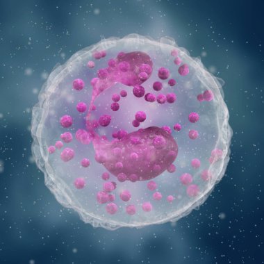 Tıp bilimi geçmişi, Eozinofiller, ana işlevi çok hücreli parazitlere karşı savaşmak olan bir tür lökosit.