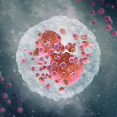 Tıp bilimi geçmişi, Eozinofiller, ana işlevi çok hücreli parazitlere karşı savaşmak olan bir tür lökosit.