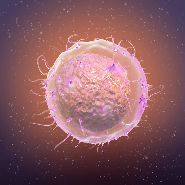 Tło Medyczne Limfocyty Komórki Układu Odpornościowego Różne Leukocyty Grupy Agranulocytów — Zdjęcie stockowe
