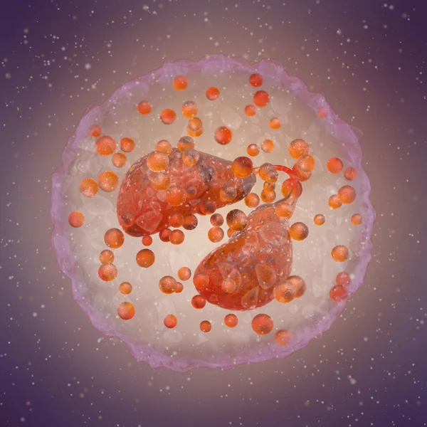 Medical Science Background Eosinophils Type Leukocyte Whose Main Function Fight — Stock Photo, Image