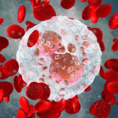 Tıp bilimi geçmişi, Eozinofiller, lökosit tipi, çok hücreli parazit kontrol fonksiyonu, kan bileşimi, eritrosit kırmızı kan hücreleri, 3D işleme