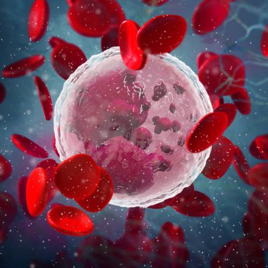 Tıp bilimi, eozinofiller, lökosit tipi, çok hücreli parazit kontrol fonksiyonu, kan bileşimi, eritrosit kırmızı kan hücreleri, 3D işleme