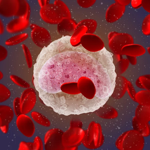 Medical Science Background Monocytes Large Leukocytes Mononuclear Macrophage System Innate — Stock Photo, Image