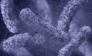 Tıbbi geçmiş, bakteri fakültatif anaerobiler, Salmonella, enterobakteriler, çubuk şekilli, tüm yüzeyde kırbaç, salmonella enfeksiyonunun nedensel faktörü, patojen, 3 boyutlu görüntüleme.