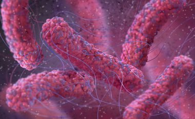 Tıbbi geçmiş, bakteri fakültatif anaerobiler, Salmonella, enterobakteriler, çubuk şekilli, tüm yüzeyde kırbaç, salmonella enfeksiyonunun nedensel faktörü, patojen, 3 boyutlu görüntüleme.