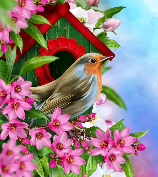 Jarní Velikonoce Pozadí Jasný Pták Sedí Větvi Kvetoucího Červeného Jabloně — Stock fotografie