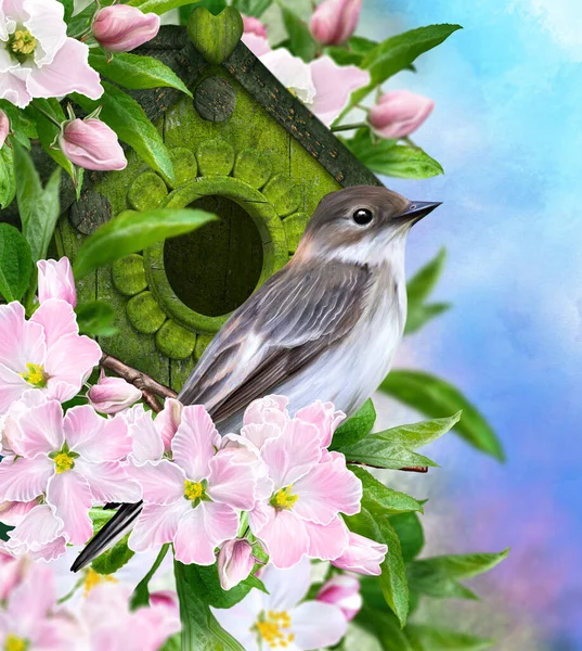 Fondo Pascua Primavera Pájaro Brillante Sienta Una Rama Manzano Floreciente —  Fotos de Stock
