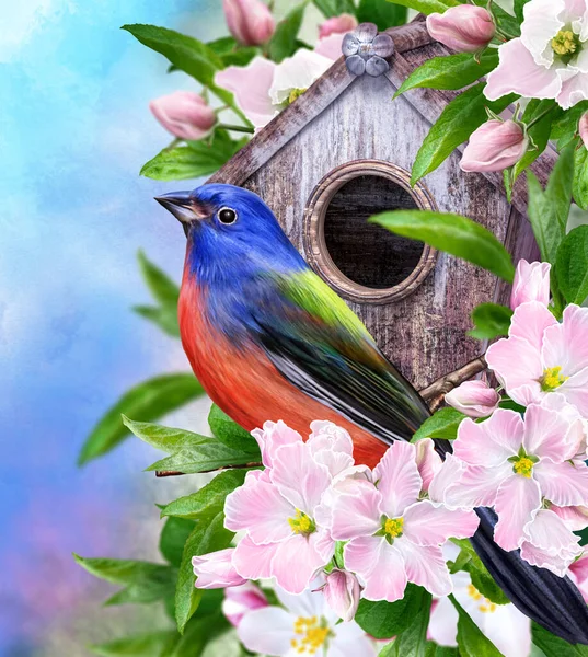 Fondo Pascua Primavera Pájaro Brillante Sienta Una Rama Manzano Floreciente —  Fotos de Stock