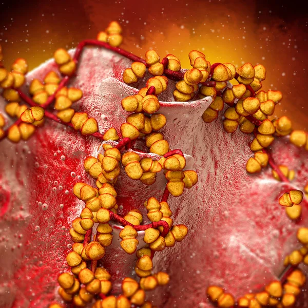 Tło Medyczne Staphylococcus Aureus Rodzaj Kulistych Bakterii Gram Dodatnich Powoduje — Zdjęcie stockowe