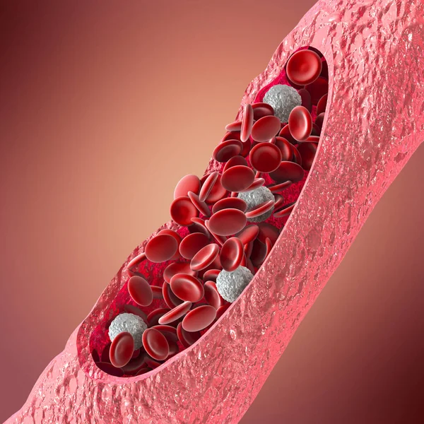 Lékařské Zázemí Erytrocytární Krevní Oběh Červené Krvinky Živém Organismu Podání — Stock fotografie