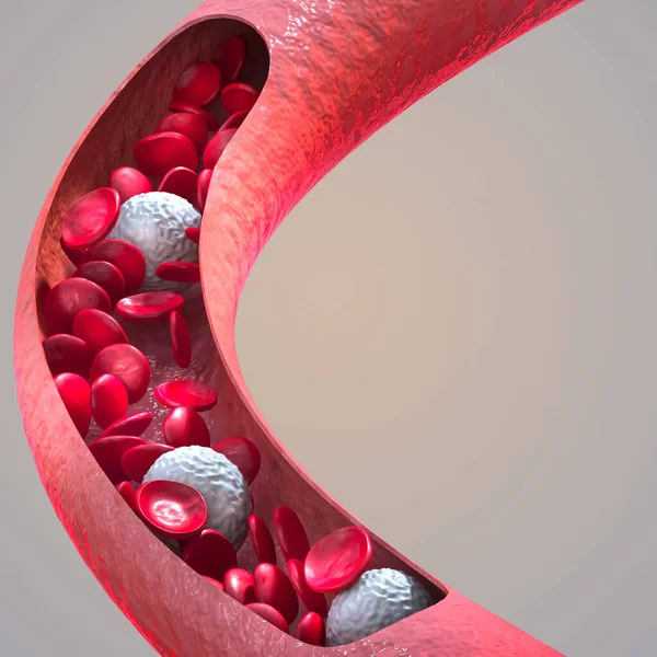 Lékařské Zázemí Průtok Erytrocytů Červenými Krvinkami Živém Těle Leukocyty Renderování — Stock fotografie
