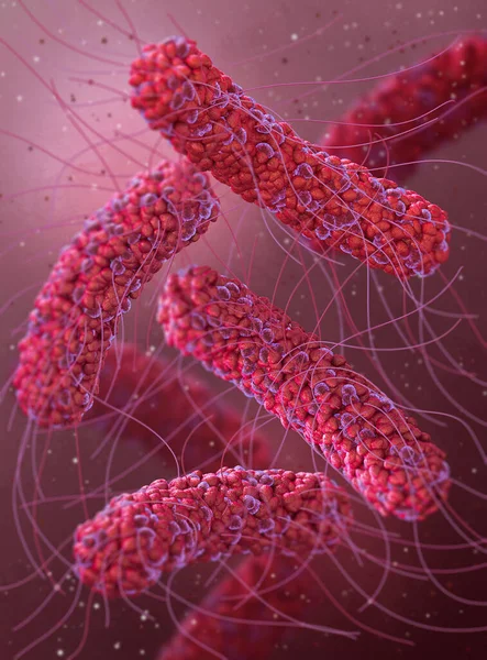 医学的背景 細菌因子性無酸素症 サルモネラ菌 腸内細菌 ロッド状 表面全体に鞭毛 サルモネラ感染症の原因物質 病原体 3Dレンダリング — ストック写真