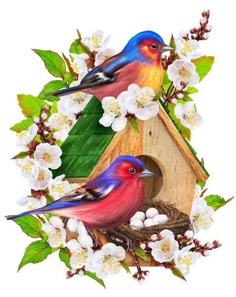 春のイースターの背景 2羽の鳥は鳥の家 卵の巣 開花白いアプリコットの木 孤立した 3Dレンダリングの近くに座っています — ストック写真
