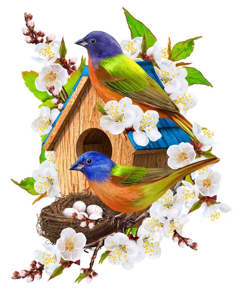 Spring Easter Background Two Birds Sit Birdhouse Nest Eggs Blossoming — Stock Photo, Image