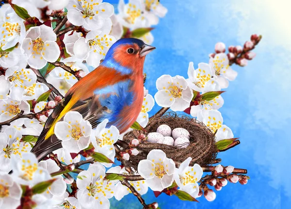 Весенний Пасхальный Фон Яркая Птица Сидит Рядом Гнездом Яйцами Ветке — стоковое фото