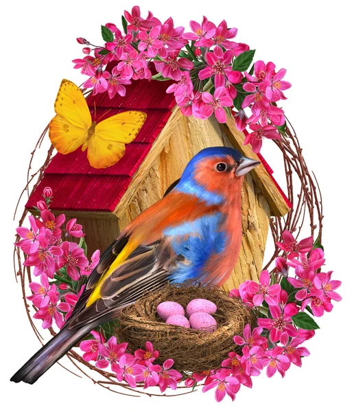 Spring Background Bright Birds Sit Nest Eggs Wooden Birdhouse Trees — Stock Photo, Image