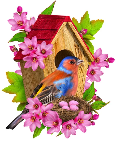 Wiosenne Tło Jasne Ptaki Siedzą Pobliżu Gniazda Jajkami Drewniany Domek — Zdjęcie stockowe