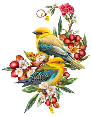 Çiçek kompozisyonu, parlak bir kuş kırmızı böğürtlen dalına oturur, kayısı çiçekleri, güzel çiçekler, izole edilmiş