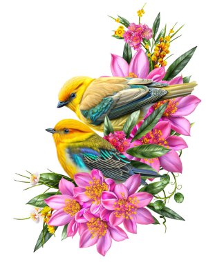 Çiçek kompozisyonu, sarı kuşlar pembe çiçeklerin dalında izole bir şekilde otururlar.
