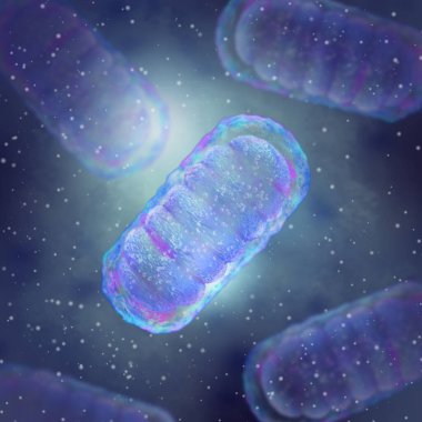 Medical background, Mitochondrion is a two-membrane spherical or ellipsoid organelle, supplies energy to the cell, electrical potential generation, 3d rendering clipart