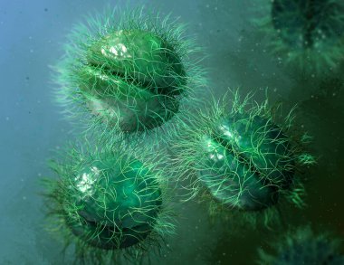 Tıbbi geçmiş, Neisseriaceae familyasından bakteri, Neisseria cinsinden Gonococcus türü, belsoğukluğu antroponotik zührevi enfeksiyona neden olan, 3D