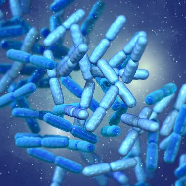 Probiyotik yararlı bakteriler, normal bağırsak mikroflorası, probiyotik olarak kullanılan mikroorganizmalar, yoğurtlar, sağlıklı yiyecekler, laktobacillus, Bifidobacterium, 3D görüntüleme