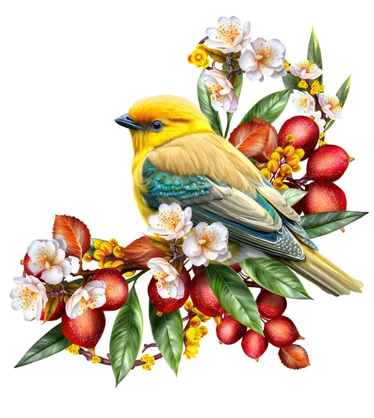 Composición Flor Pájaro Brillante Sienta Una Rama Bayas Rojas Flores —  Fotos de Stock