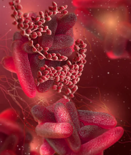 医学的背景 シゲッラグラム陰性不動ロッド状細菌 シゲッラ症のグループからの病原体 危険な病原体 3Dレンダリング — ストック写真