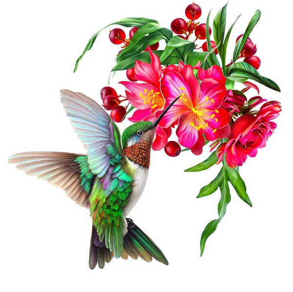 Hummingbird bird flying near tropical red beautiful flowers, exotic plants, leaves, isolated