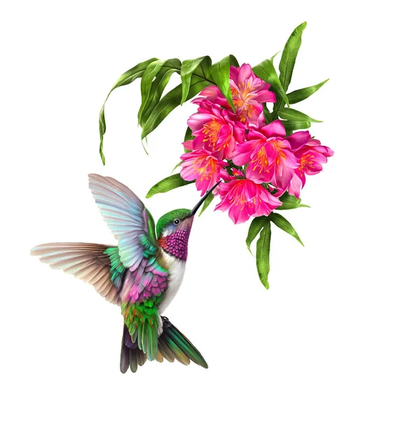 Koliber Ptak Latający Pobliżu Tropikalnych Czerwonych Pięknych Kwiatów Egzotyczne Rośliny — Zdjęcie stockowe
