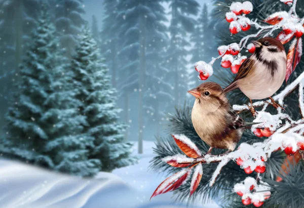 在圣诞节的背景下 两只麻雀栖息在雪白的红莓枝上 背景是一片冬季松树林 3D渲染 没有人工智能 — 图库照片