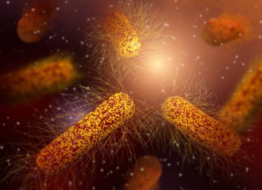 Tıbbi geçmiş, bakteri fakültatif anaerobiler, Salmonella, enterobakteriler, çubuk şekilli, tüm yüzeyde kırbaç, salmonella enfeksiyonunun nedensel faktörü, patojen, 3 boyutlu görüntüleme.