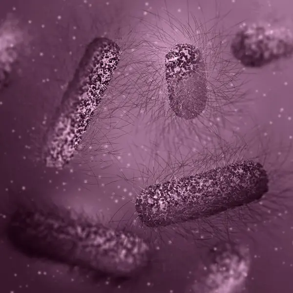 Medizinischer Hintergrund Bakterien Fakultative Anaerob Salmonellen Enterobakterien Stäbchenförmige Flagellen Auf lizenzfreie Stockbilder