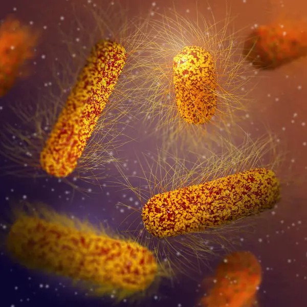 Medizinischer Hintergrund Bakterien Fakultative Anaerob Salmonellen Enterobakterien Stäbchenförmige Flagellen Auf Stockbild