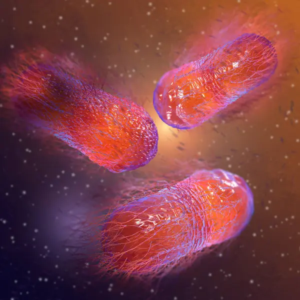 Medizinischer Hintergrund Bakterien Fakultative Anaerob Salmonellen Enterobakterien Stäbchenförmige Flagellen Auf Stockbild