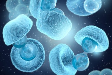 Tıbbi konsept, hücre bölünmesi bir ebeveyn hücresinden iki ya da daha fazla kız hücresi oluşturma sürecidir.